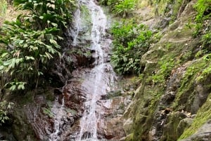 3 WATERFALLS TOUR - MINCA