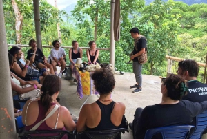 Tour ancestrale di Minca: conoscenza indigena, natura e vita