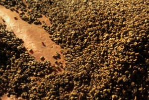 Tour ancestrale di Minca: conoscenza indigena, natura e vita