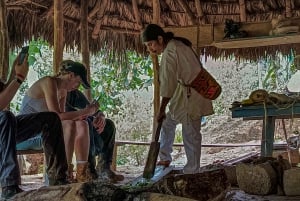 Santa Marta: kolibries, cacao en waterval in Minca met transfer