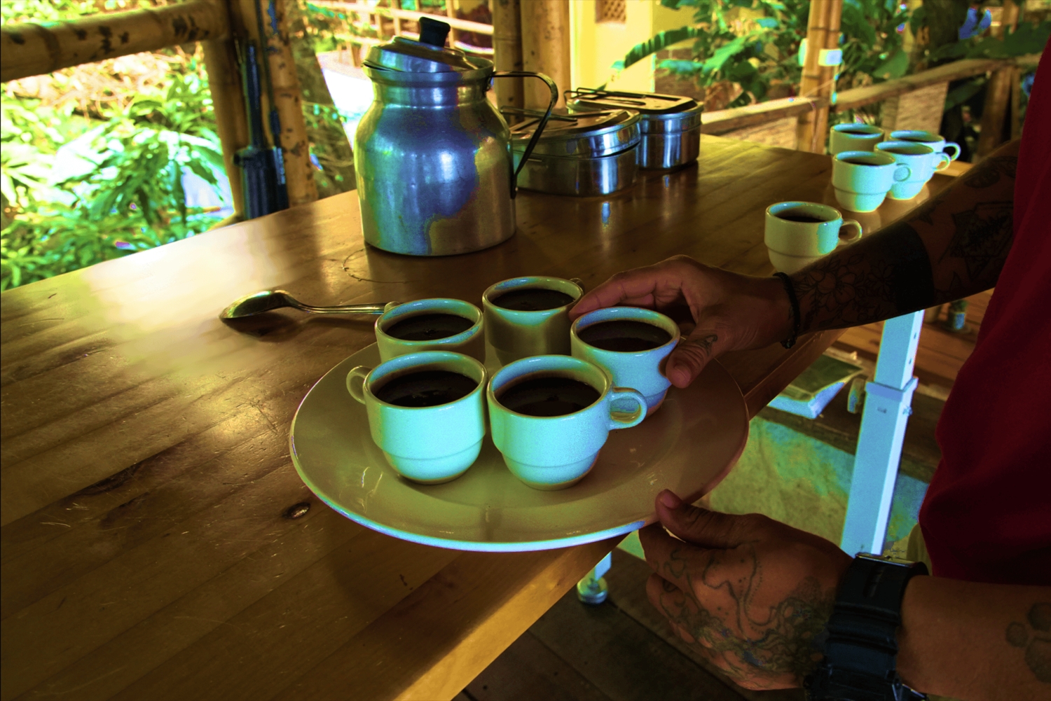 Minca: juving og rappellering med Jungle Joe