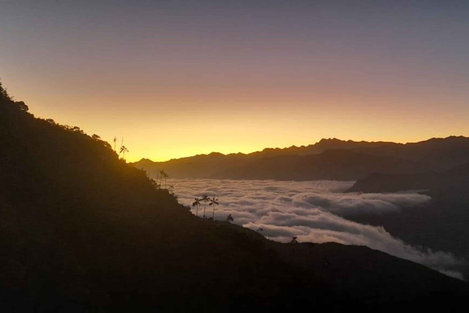 Minca: Cerro Kennedy en La Victoria Coffee Farm Tour