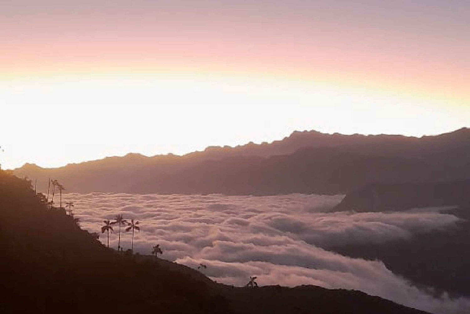 Minca: Cerro Kennedy und La Victoria Kaffeefarm Tour