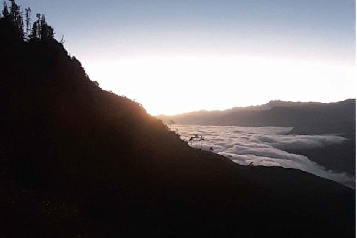 Minca: Cerro Kennedy und La Victoria Kaffeefarm Tour