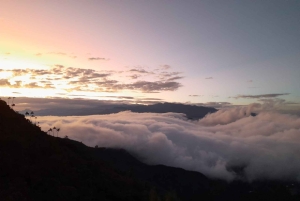 Minca: Cerro Kennedy und La Victoria Kaffeefarm Tour