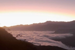 Minca: Cerro Kennedy und La Victoria Kaffeefarm Tour