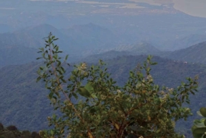 Minca: Cerro Kennedy und La Victoria Kaffeefarm Tour