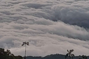 Minca: Cerro Kennedy und La Victoria Kaffeefarm Tour