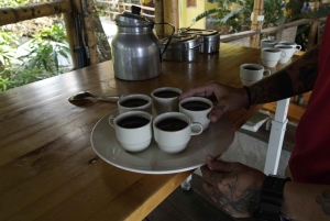 Minca: Chocolate Factory workshop with Jungle Joe