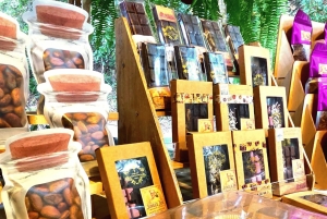 Minca: Chocolate Factory workshop with Jungle Joe