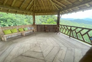 ミンカ：コーヒーとカカオ農園、そして隠れた滝のツアー