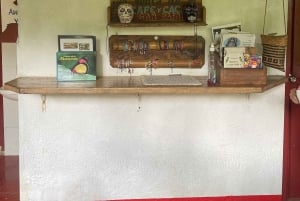 ミンカ：コーヒーとカカオ農園、そして隠れた滝のツアー