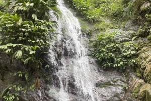 ミンカ：コーヒーとカカオ農園、そして隠れた滝のツアー