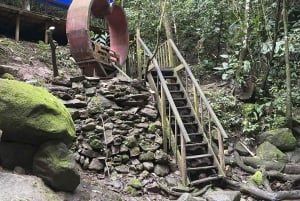 ミンカ：コーヒーとカカオ農園、そして隠れた滝のツアー
