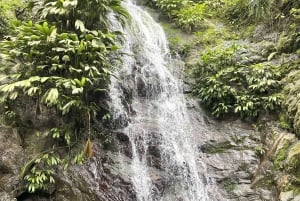 ミンカ：コーヒーとカカオ農園、そして隠れた滝のツアー