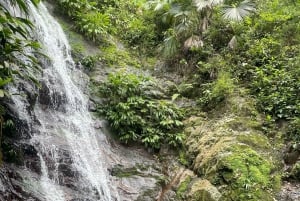 ミンカ：コーヒーとカカオ農園、そして隠れた滝のツアー
