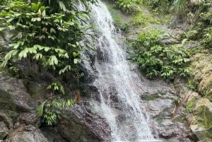 ミンカ：コーヒーとカカオ農園、そして隠れた滝のツアー