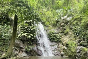 ミンカ：コーヒーとカカオ農園、そして隠れた滝のツアー