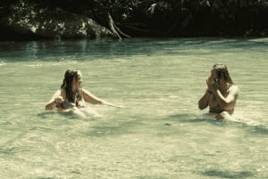 Minca: plantación de café, ruta de senderismo y chocolate