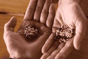 Minca: plantación de café, ruta de senderismo y chocolate