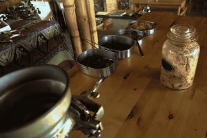 Minca: plantación de café, ruta de senderismo y chocolate