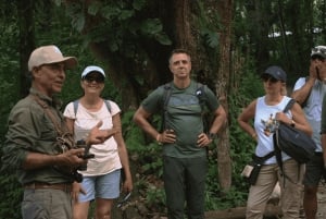 Minca: plantación de café, ruta de senderismo y chocolate