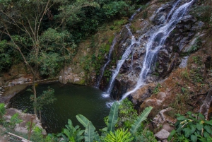 Minca: Day-Trip