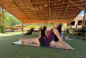 Minca: Dzień z obiadem, peelingiem kawowym i ekologiczną wędrówką