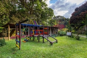 Minca: Dzień z obiadem, peelingiem kawowym i ekologiczną wędrówką