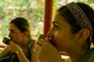 Minca: Excursión de un día entero al café y el cacao desde Santa Marta