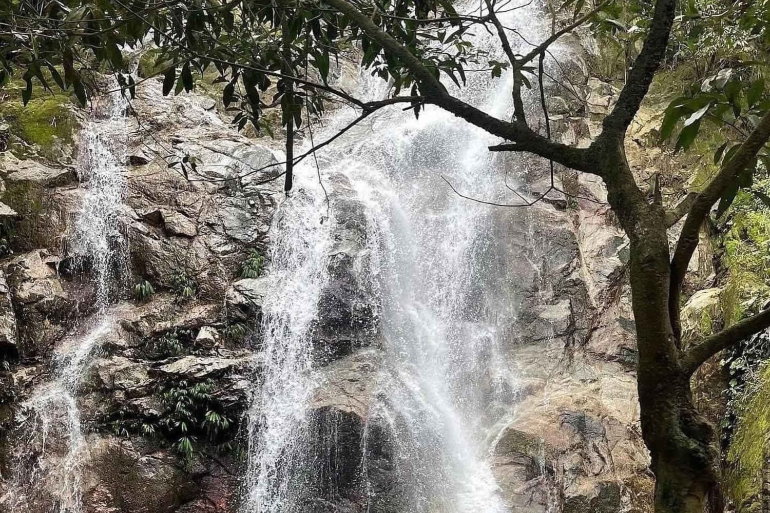 ミンカへの1日ツアー