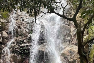 ミンカへの1日ツアー