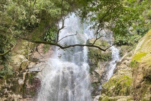 ミンカへの1日ツアー