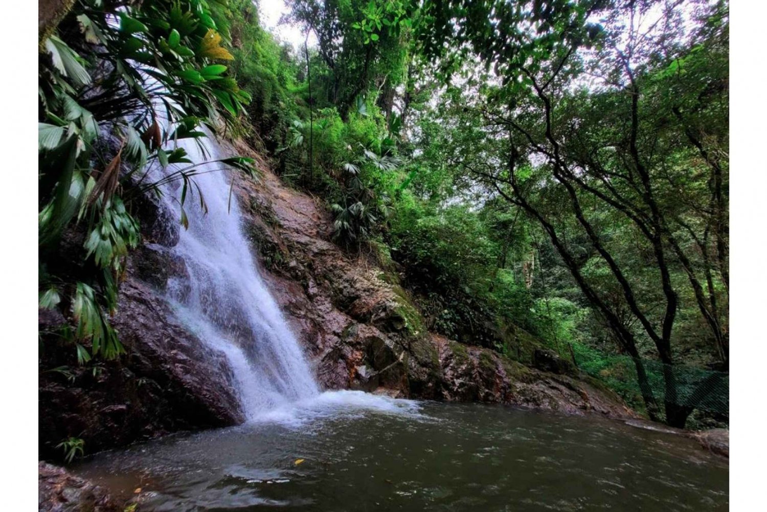 Minca, Waterfall & Cacao Workshop + Coffee Workshop