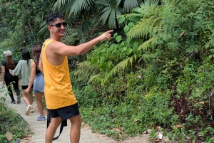 Minca: Intense Trekking in the Sierra Nevada