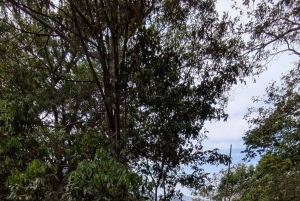 Minca: Intense Trekking in the Sierra Nevada