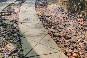 Magical and Exotic Minca Coffee and Cacao Tour From Santa Marta