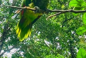 Magical and Exotic Minca Coffee and Cacao Tour From Santa Marta