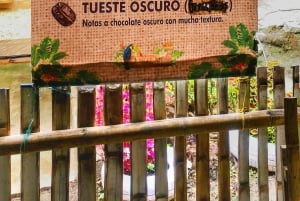 Magical and Exotic Minca Coffee and Cacao Tour From Santa Marta