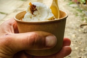 Magical and Exotic Minca Coffee and Cacao Tour From Santa Marta