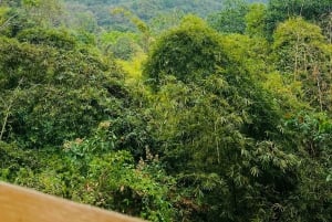 Magical and Exotic Minca Coffee and Cacao Tour From Santa Marta