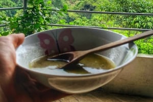Magical and Exotic Minca Coffee and Cacao Tour From Santa Marta