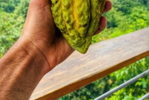 Magical and Exotic Minca Coffee and Cacao Tour From Santa Marta