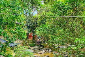 Magical and Exotic Minca Coffee and Cacao Tour From Santa Marta