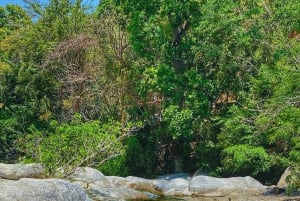 Magical and Exotic Minca Coffee and Cacao Tour From Santa Marta