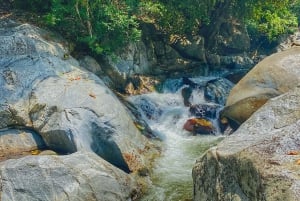 Magical and Exotic Minca Coffee and Cacao Tour From Santa Marta