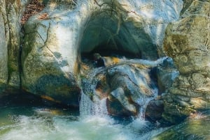 Magical and Exotic Minca Coffee and Cacao Tour From Santa Marta