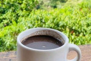 Magical and Exotic Minca Coffee and Cacao Tour From Santa Marta