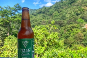 Magical and Exotic Minca Coffee and Cacao Tour From Santa Marta