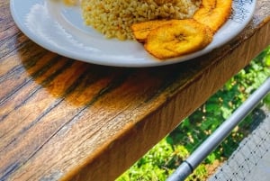 Magical and Exotic Minca Coffee and Cacao Tour From Santa Marta